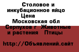 Столовое и инкубационное яйцо › Цена ­ 50-10 - Московская обл., Серпухов г. Животные и растения » Птицы   